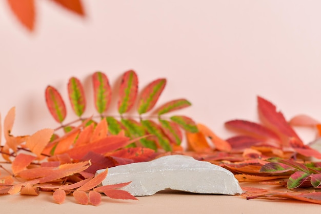 Autumn podium made of natural stone and autumn foliage