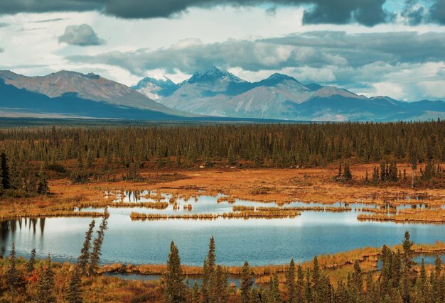 Foto autunno nella tundra polare