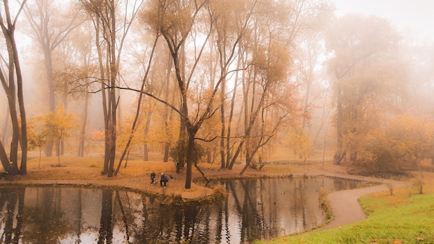 autumn pond in the ravine