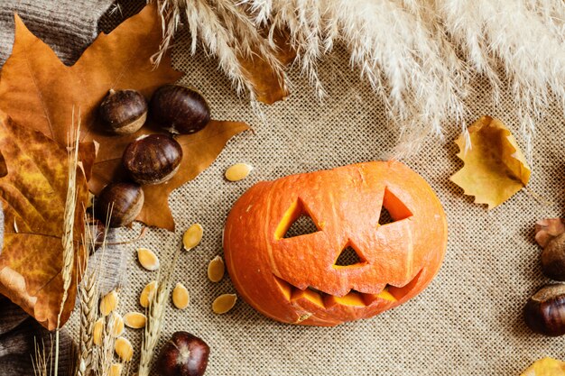 Autumn pumpkin, maple leaves and chestnuts lying on a brown. 