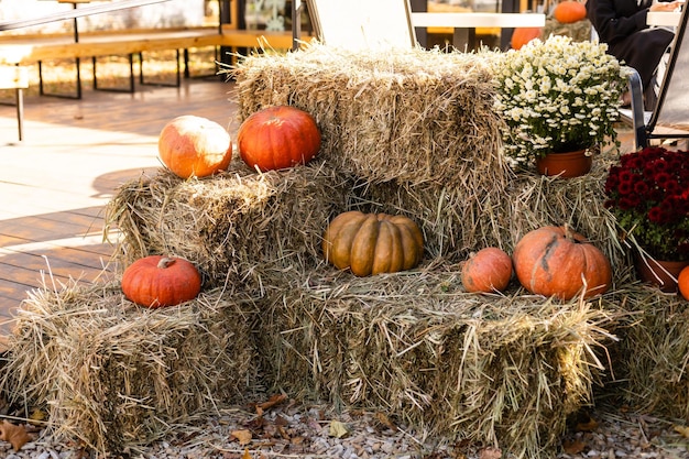 Autumn pumpkin thanksgiving achtergrond - oranje pompoenen over stro.
