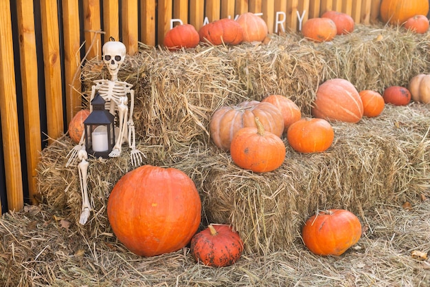 Autumn Pumpkin Thanksgiving achtergrond - oranje pompoenen over stro.