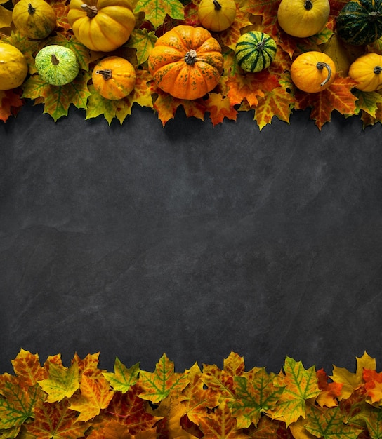 Осенний тыквенный фон на День Благодарения - вид сверху