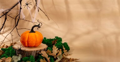 Autumn pumpkin on a wooden podium, cobwebs, branches and spiders. autumn halloween concept, web banner with free space for text. high quality photo