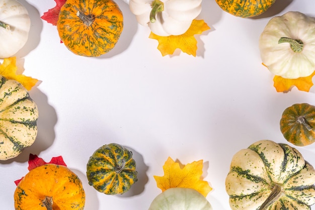 Autumn pumpkins background