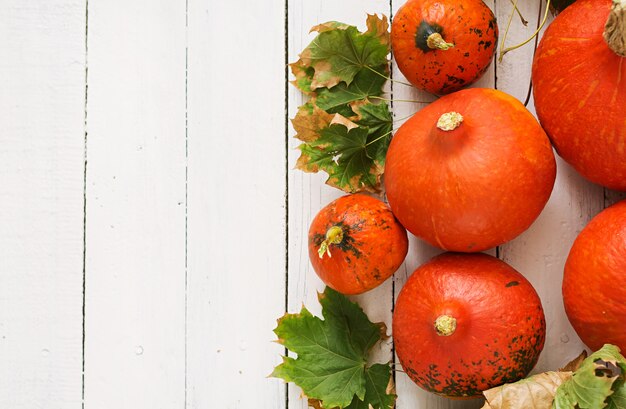 Autumn pumpkins and leaves on a white wooden background. Thanksgiving background. Halloween.