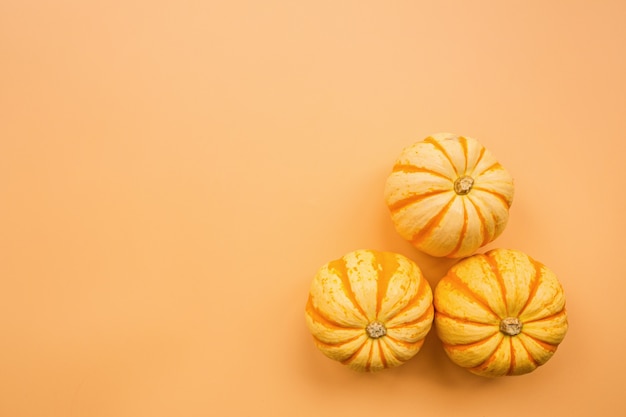 Autumn pumpkins on pastel orange background