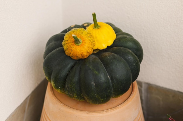 Autumn pumpkins pots with chrysanthemums and heather close up at wooden front door Stylish autumnal decor of farmhouse entrance or porch Fall arrangement