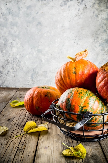 Autumn pumpkins in a table