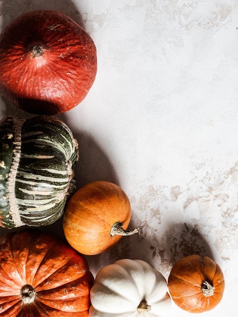 Autumn Pumpkins  of a various sizes and colors Top view. copyspace