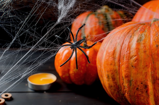 Autumn pumpkins, web and spider in black