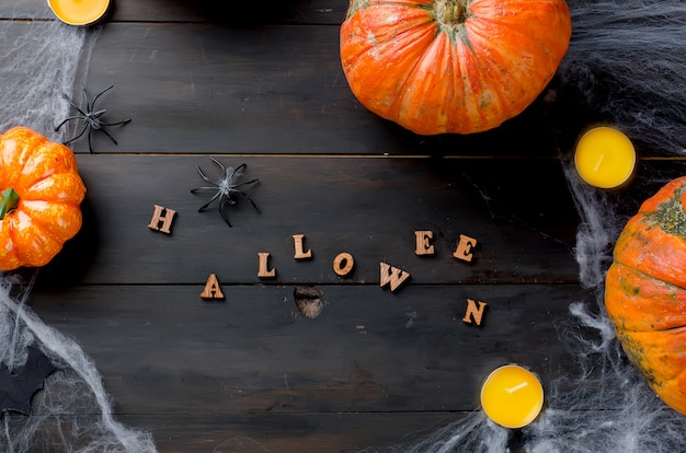 Autumn pumpkins, web and spider in black