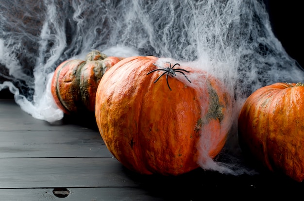 Autumn pumpkins, web and spider in black