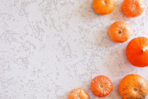 Autumn pumpkins on white background