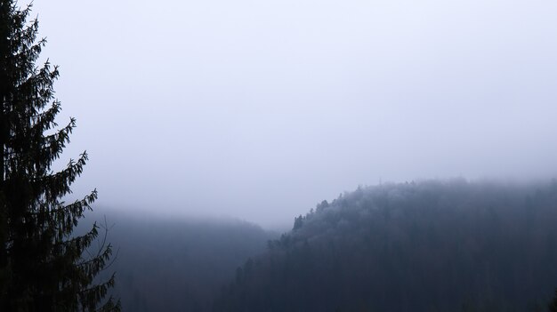 Autumn rain and fog on the mountain hills. Misty autumn forest covered with low clouds.