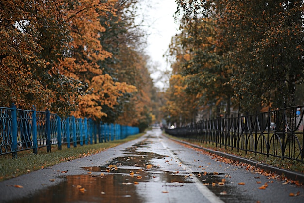 日中の公園の秋の雨