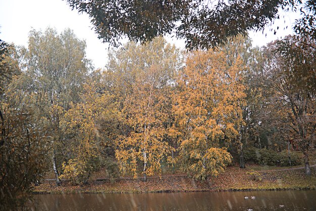 Autumn rain in the park during the day