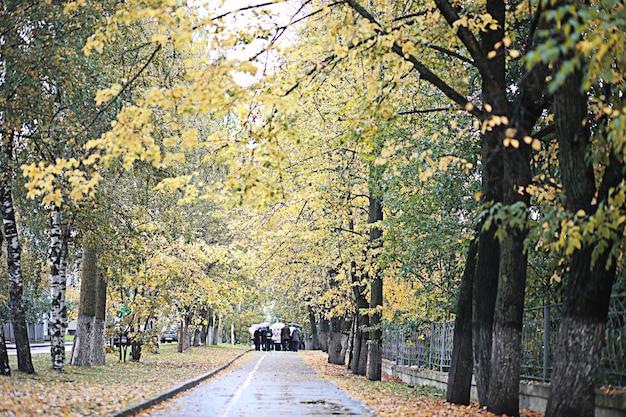 Autumn rain in the park during the day
