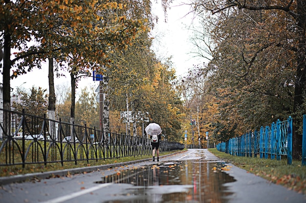 Autumn rain in the park during the day