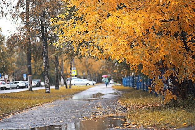 Autumn rain in the park during the day