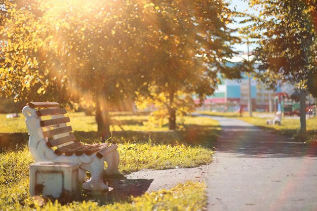 Photo autumn rain in the park during the day