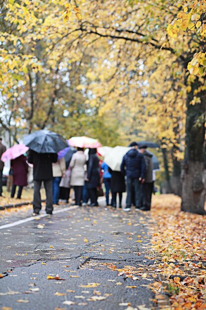 公園の秋の雨