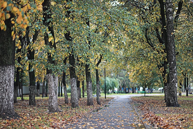 Autumn rain in the park