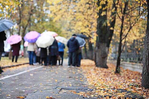 公園の秋の雨