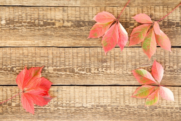 木の板の秋の赤と緑の葉
