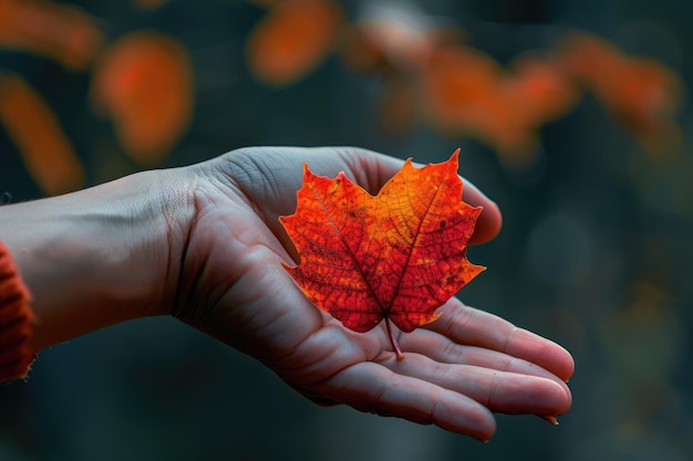 Autumn red leaf with cut heart in a hand