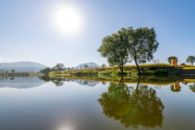 Autumn reflection