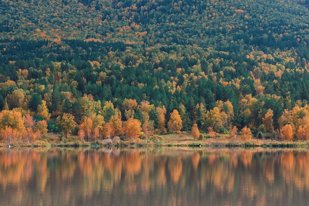 가을 반사 호수