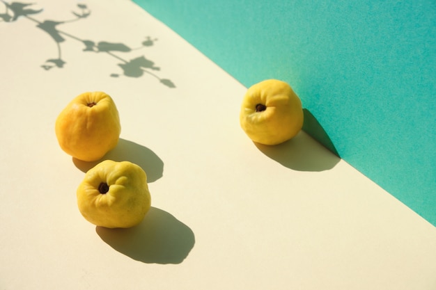 Autumn ripe yellow quince fruits on mint green and yellow layered paper
