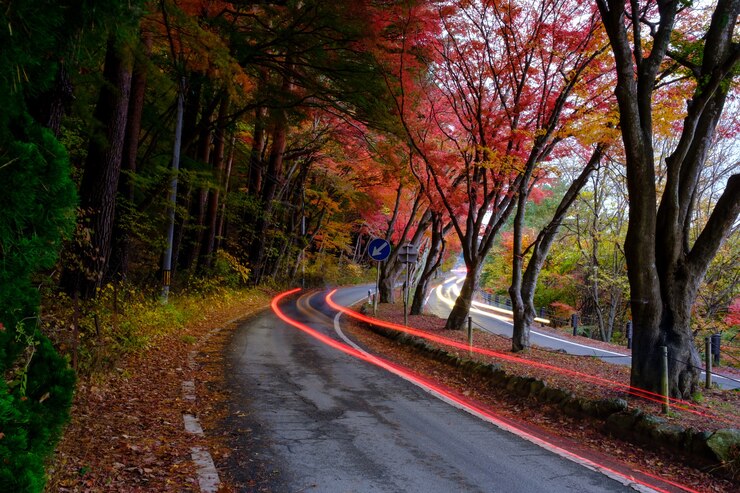 फोटो autumn on road along with yellow red orange green maple leaves in autumn season the trees on both side turn colorful on path road way in season change, and headlight car in japan, long exposures shot