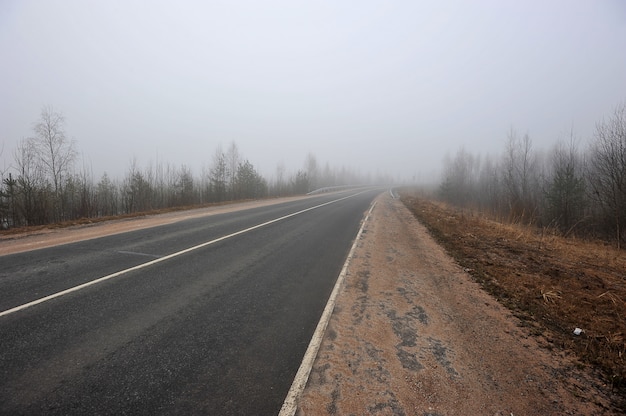 Autumn road in the fog