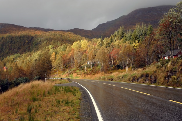 ノルウェーの山々の秋の道