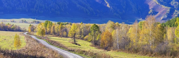 Vista panoramica panoramica su strada autunnale alberi gialli su uno sfondo di montagna