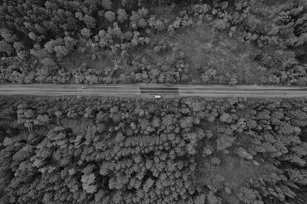 Фото Осенняя дорога, вид сверху, осенний пейзаж с дроном