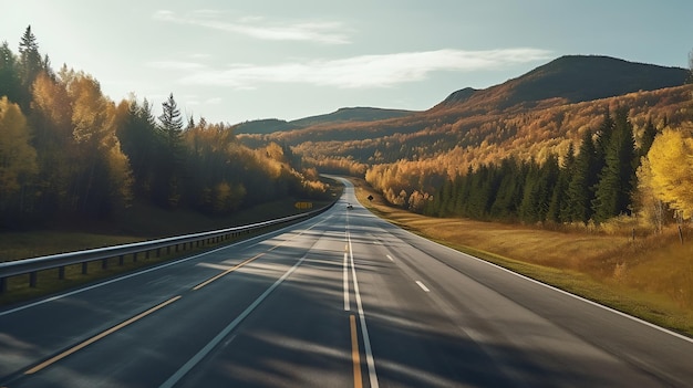 Autumn Road