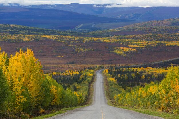 Autumn road