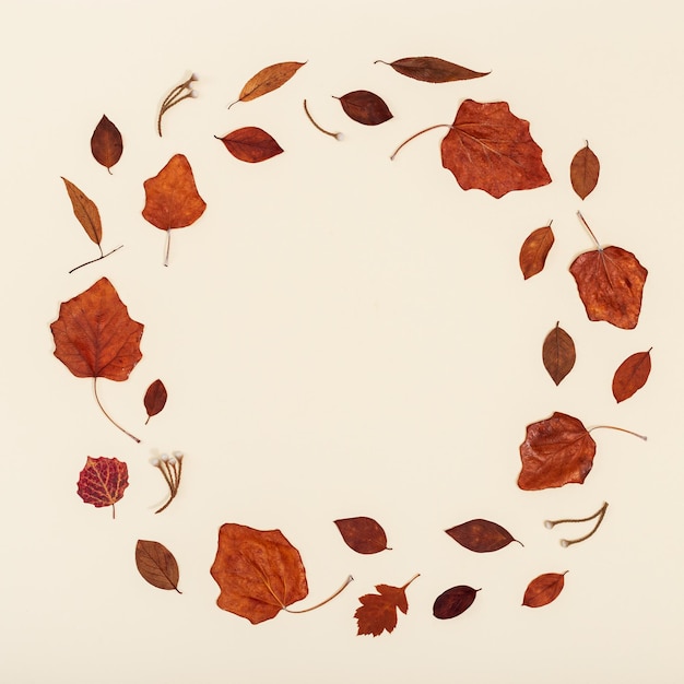 Autumn round frame from colorful autumn leaves on neutral beige with copy space Fall time concept