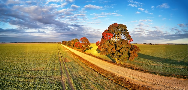 Autumn rural panorama Fall colors beautiful trees dirt road agriculture fields sunny morning