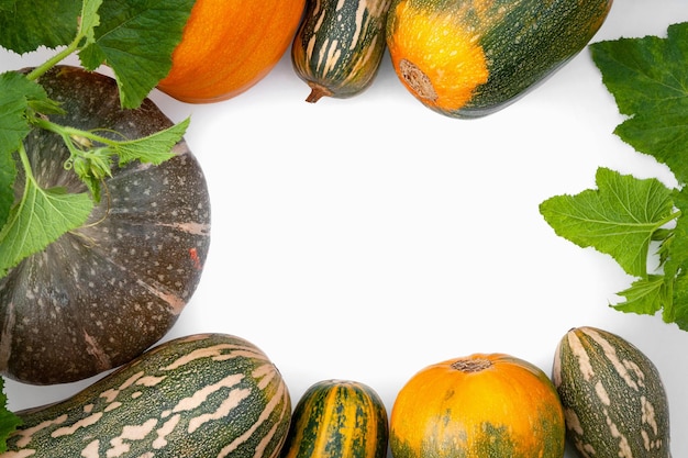 Autumn rustic thanksgiving day still life with pumpkins on white background