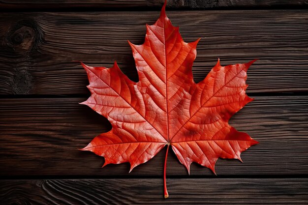 Autumn's Gentle Embrace A Lone Maple Leaf on Rich Wooden Planks Showcasing Nature's Beauty by Generative AI