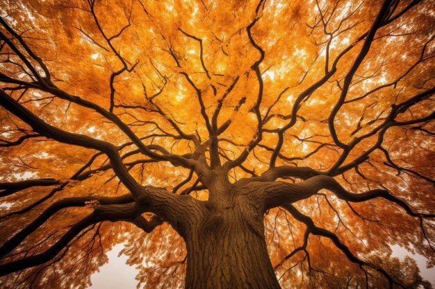 Autumn's Whispers Tree of Life Represented by a Mesmerizing Autumn Tree Generative AI