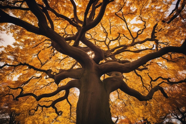 Foto autunno sussurra l'albero della vita rappresentato da un affascinante albero d'autunno generativa ai