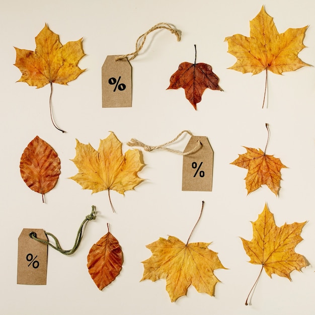 Autumn sale concept Cardboard labels with percents