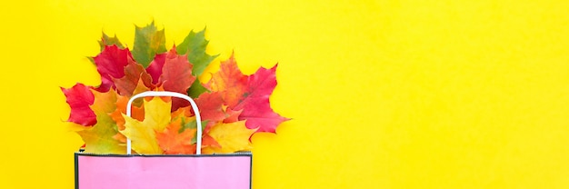 Autumn sale. Paper bag with autumn maple leaves. 