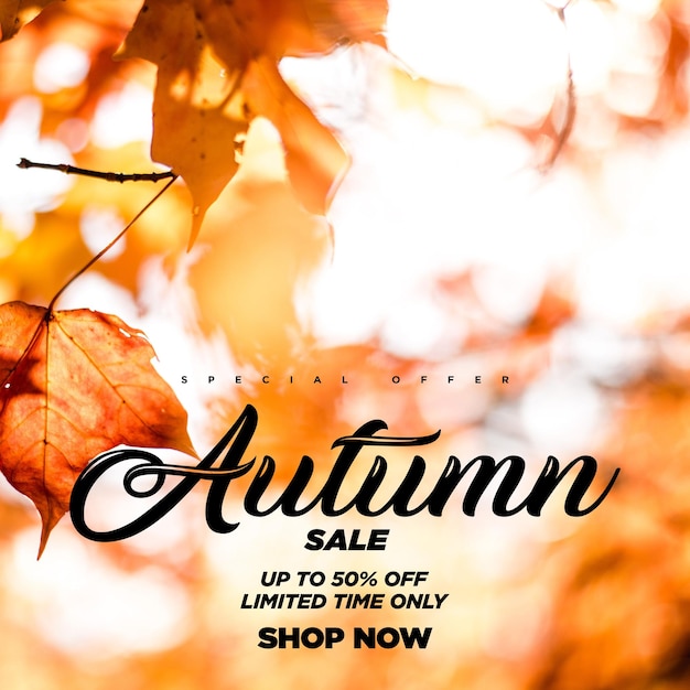 Autumn Sale