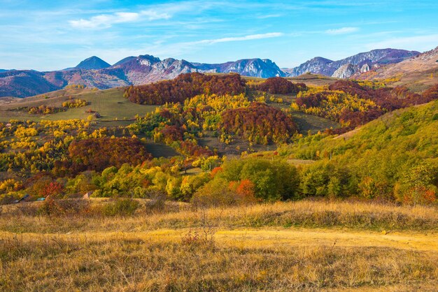 Autumn scene in the mountains